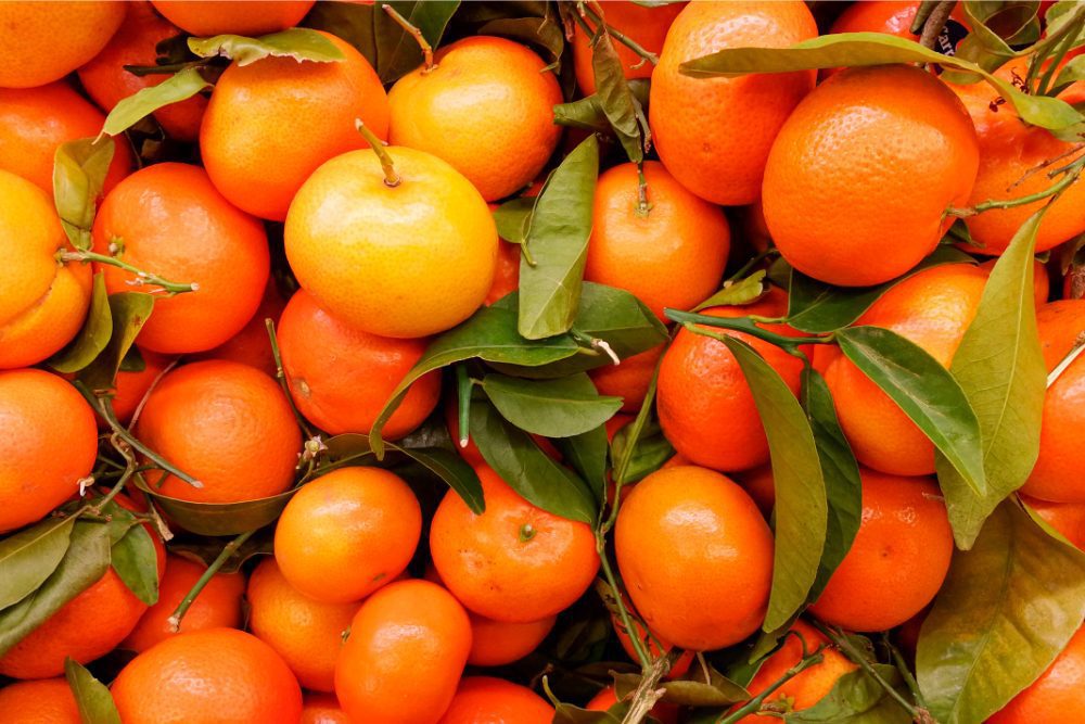 oranges