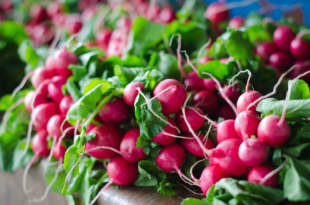 Radish