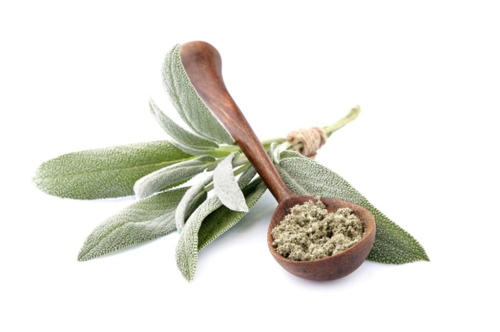 Sage